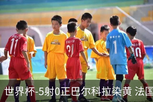 世界杯-5射0正巴尔科拉染黄 法国队半场暂0-0巴拉圭